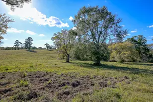 100 Acres Spring Branch Rd, Montgomery, TX 77316 - Photo 17