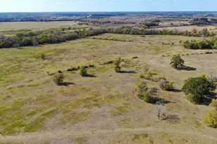 100 Acres Spring Branch Rd, Montgomery, TX 77316 - Photo 31