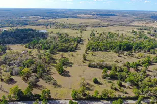 100 Acres Spring Branch Rd, Montgomery, TX 77316 - Photo 37