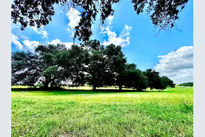 427 Knezek Road N, Flatonia, TX 78941 - Photo 9