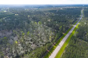 15982 Wood Grv Wy, Willis, TX 77378 - Photo 17