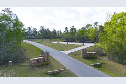 15982 Wood Grove Way, Willis, TX 77378 - Photo 13