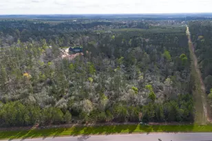 15982 Wood Grv Wy, Willis, TX 77378 - Photo 21