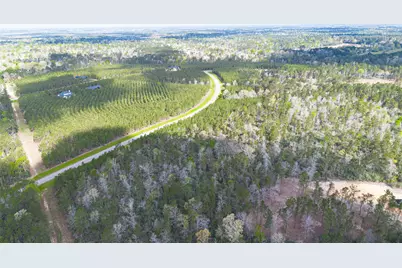 15982 Wood Grove Way, Willis, TX 77378 - Photo 25