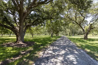 3042 Poskey Road, Anahuac, TX 77514 - Photo 7