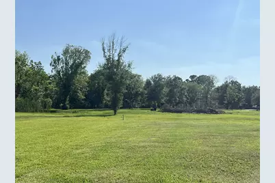 19654 Chigger Creek Drive, Alvin, TX 77511 - Photo 7