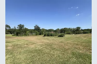 19654 Chigger Creek Drive, Alvin, TX 77511 - Photo 5