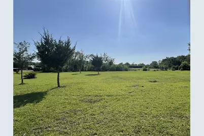 19654 Chigger Creek Drive, Alvin, TX 77511 - Photo 3