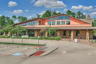 31 S Victoriana Cir, Spring, TX 77389 - Photo 43