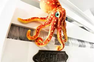 6102 Seawall Blvd, Galveston, TX 77551 - Photo 19