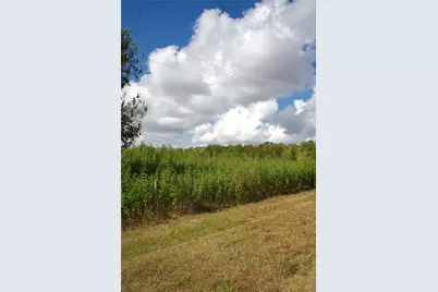 0 Cr 220, Wharton, TX 77488 - Photo 5