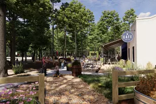 9385 Cordial Circle, Montgomery, TX 77316 - Photo 21