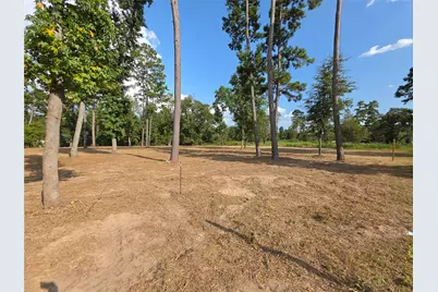 Tract C-4 Gaff Road, Magnolia, TX 77355 - Photo 1