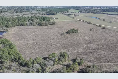 Tbd Lot 2 Podraza Road, New Waverly, TX 77358 - Photo 11