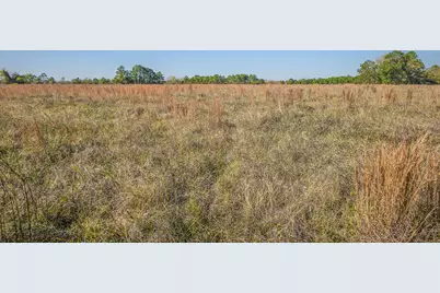 Tbd Lot 2 Podraza Road, New Waverly, TX 77358 - Photo 5