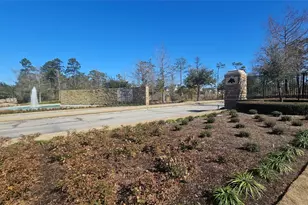 3529 Brian Valley Ct, Spring, TX 77386 - Photo 39