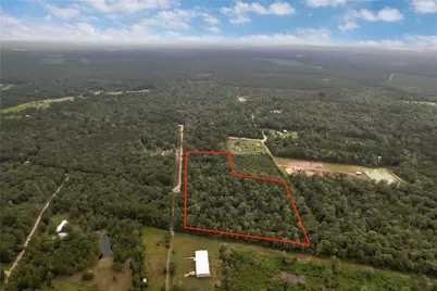 295 Hollywood Street, Livingston, TX 77351 - Photo 11