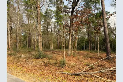 195 Walnut Circle, Trinity, TX 75862 - Photo 3