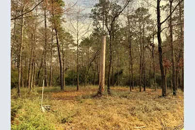 195 Walnut Circle, Trinity, TX 75862 - Photo 1