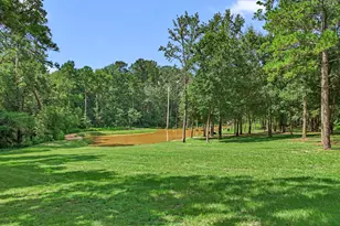 18107 Keenan Cut Off Rd, Montgomery, TX 77316 - Photo 45