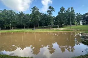 18107 Keenan Cut Off Rd, Montgomery, TX 77316 - Photo 7