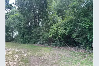 Tbd Old Israel Road, Livingston, TX 77351 - Photo 3