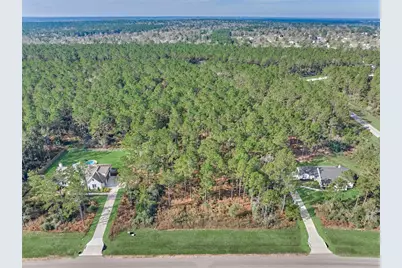 15929 Wood Grove Way, Willis, TX 77378 - Photo 11