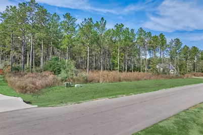 15929 Wood Grove Way, Willis, TX 77378 - Photo 9