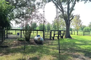 9235 Ruth Rd, Rosharon, TX 77583 - Photo 43