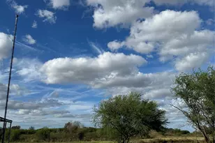 2134 FM 1875 Rd, Beasley, TX 77417 - Photo 1