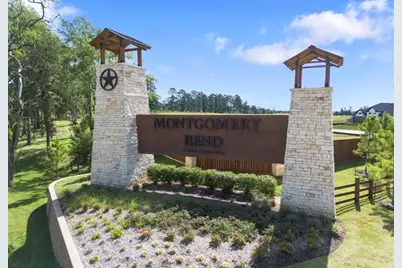 930 Silver Buckle Lane, Montgomery, TX 77356 - Photo 15