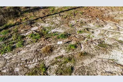 002 Blackbuck Drive, Moscow, TX 75960 - Photo 13