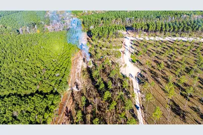 002 Blackbuck Drive, Moscow, TX 75960 - Photo 5