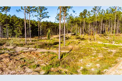 002 Blackbuck Drive, Moscow, TX 75960 - Photo 9