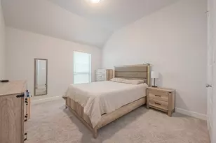 29042 Hauter Wy, Fulshear, TX 77441 - Photo 23