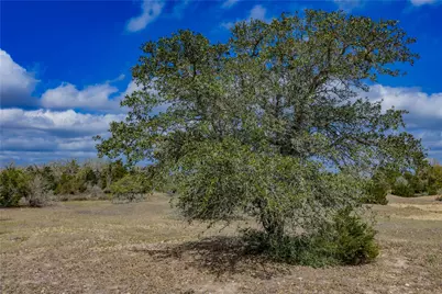 Tbd Fm 955, Fayetteville, TX 78940 - Photo 17