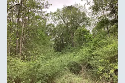 0 County Road 4876, Dayton, TX 77535 - Photo 17