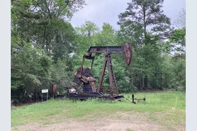 0 County Road 4876, Dayton, TX 77535 - Photo 23