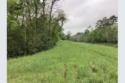 0 County Road 4876, Dayton, TX 77535 - Photo 19