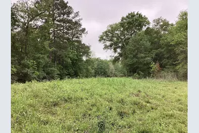 0 County Road 4876, Dayton, TX 77535 - Photo 21
