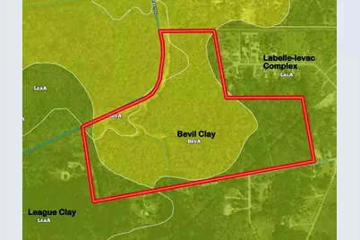 0 County Road 4876, Dayton, TX 77535 - Photo 39