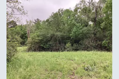 0 County Road 4876, Dayton, TX 77535 - Photo 37