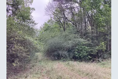 0 County Road 4876, Dayton, TX 77535 - Photo 13