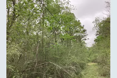 0 County Road 4876, Dayton, TX 77535 - Photo 11