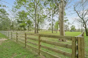 10313 S Williams Rd, Conroe, TX 77303 - Photo 43