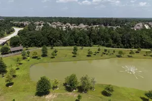 5019 Preserve Park Dr, Spring, TX 77389 - Photo 39