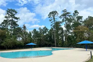 14233 Wonder Lake, Conroe, TX 77384 - Photo 27