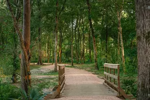 7503 Enchanted Rock Ct, Porter, TX 77365 - Photo 41