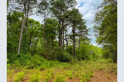 000 County Road 4630 Road N, Spurger, TX 77660 - Photo 25