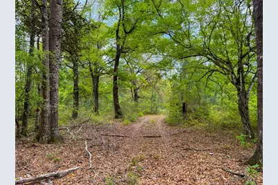 000 County Road 4630 Road N, Spurger, TX 77660 - Photo 29